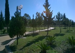 Piazza Maria Castellani