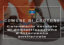 Servizio di deblattizzazione e intervento antilarvale