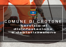 Servizio di disinfestazione e deblattizzazione