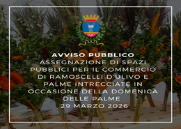 Settore Attività Produttive