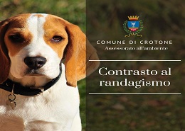 Contrasto al randagismo