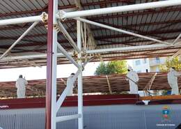 Un momento dell'attività 