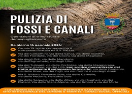 Assessorato all'Ambiente