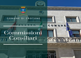 Commissioni Consiliari
