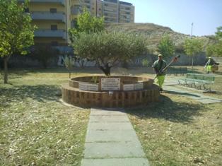 Giardino Falcone - Borsellino