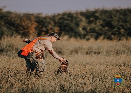 Attività Produttive