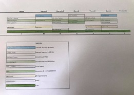 Il calendario della raccolta differenziata su strada