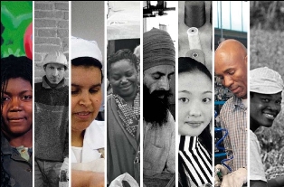 Progetto Incubatore Virtuale